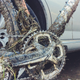 Illustration for article titled Bicycles. Depreciation. Loosing.